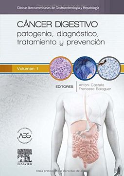 portada Cancer Digestivo: Patogenia, Diagnostico, Tratamiento y Prevencion: Clinicas Iberoamericanas de Gastroenterologia y Hepatologia (in Spanish)