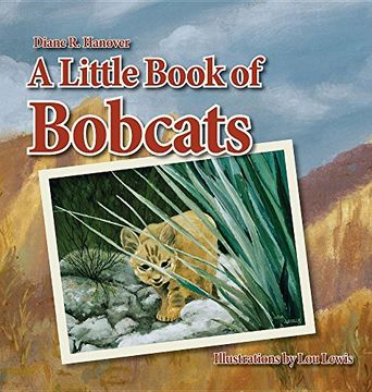portada A Little Book of Bobcats (en Inglés)