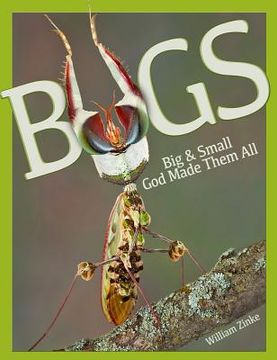 portada Bugs Big & Small: God Made Them All (en Inglés)