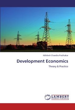 portada development economics (en Inglés)