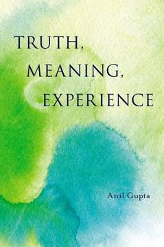 portada truth, meaning, experience