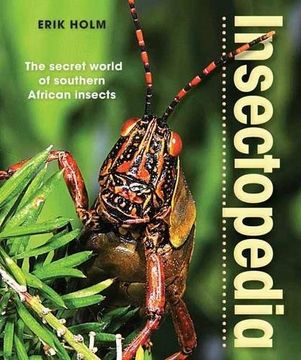 portada Insectopedia: The Secret World of Southern African Insects (en Inglés)