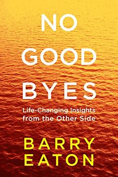 portada No Goodbyes: Life-Changing Insights From the Other Side (en Inglés)
