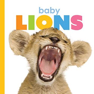 portada Baby Lions (Starting Out) (en Inglés)