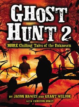 portada ghost hunt 2 (en Inglés)