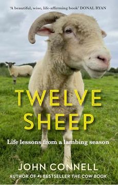 portada Twelve Sheep (en Inglés)