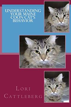 portada Understanding Your Maine Coon Cat's Behavior (en Inglés)