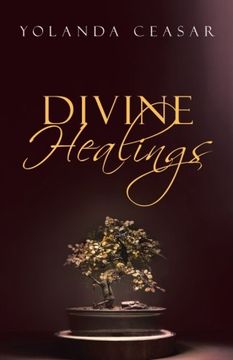 portada Divine Healings (in English)
