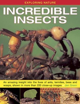 portada Exploring Nature: Incredible Insects: An Amazing Insight into the Lives of Ants, Termites, Bees and Wasps, Shown in More Than 220 Close-up Images