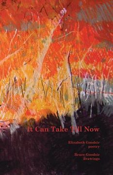 portada It Can Take Till Now