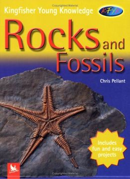 portada Rocks and Fossils (Kingfisher Young Knowledge)