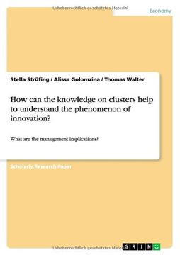 portada How can the knowledge on clusters help to understand the phenomenon of innovation?