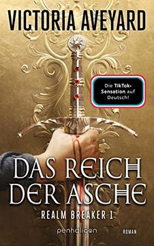 portada Das Reich der Asche - Realm Breaker 1: Roman (in German)