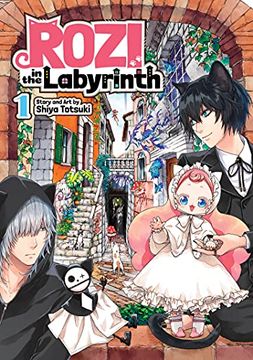 portada Rozi in the Labyrinth 01 (in English)