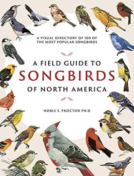 portada A Field Guide to Songbirds of North America: A Visual Directory of 100 of the Most Popular Songbirds 