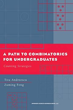 portada A Path to Combinatorics for Undergraduates: Counting Strategies (in English)