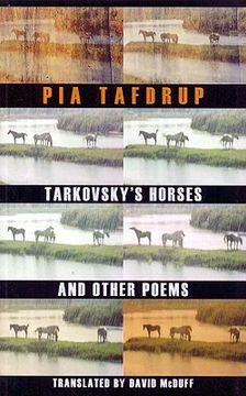 portada Tarkovsky's Horses and Other Poems (in English)