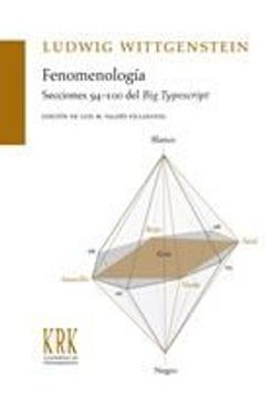 portada fenomenología. secciones 94-100 del big typescript