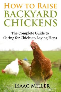 portada How To Raise Backyard Chickens: The Complete Guide to Caring for Chicks to Laying Hens