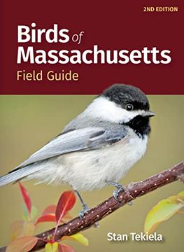 portada Birds of Massachusetts Field Guide (Bird Identification Guides) 