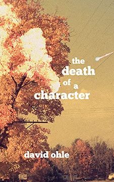 portada The Death of a Character (en Inglés)