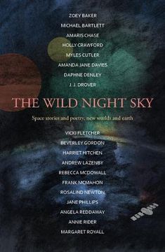 portada The Wild Night sky (en Inglés)