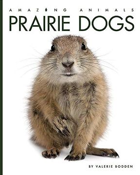 portada Prairie Dogs (Amazing Animals) (en Inglés)
