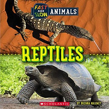 portada Fast and Slow: Reptiles (Wild World) (en Inglés)
