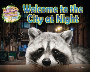 portada Welcome to the City at Night (en Inglés)