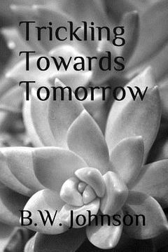 portada Trickling Towards Tomorrow (in English)