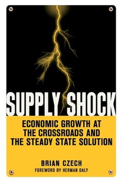 portada Supply Shock: Economic Growth at the Crossroads and the Steady State Solution (in English)