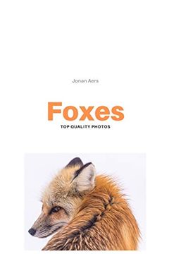 portada Foxes: Top Quality Photos (en Inglés)