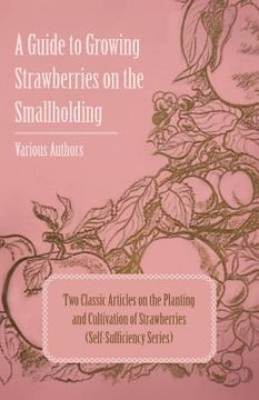 portada a   guide to growing strawberries on the smallholding - two classic articles on the planting and cultivation of strawberries (self-sufficiency series)