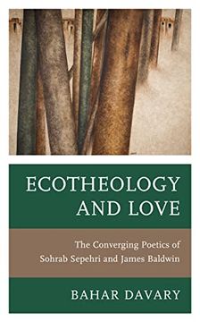 portada Ecotheology and Love: The Converging Poetics of Sohrab Sepehri and James Baldwin (Environment and Religion in Feminist-Womanist, Queer, and Indigenous Perspectives) (en Inglés)