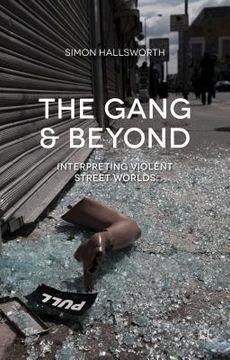 portada The Gang and Beyond: Interpreting Violent Street Worlds (en Inglés)