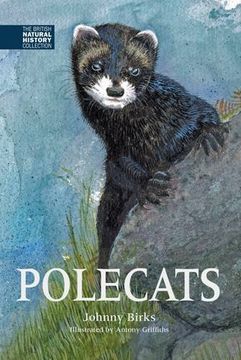 portada Polecats (The British Natural History Collection)