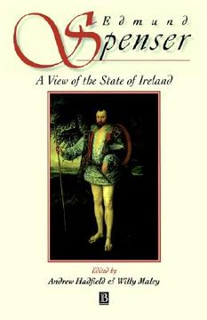 portada a view of the state of ireland: the production and experience of consumption