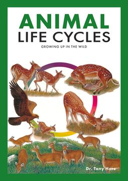 portada Animal Life Cycles: Discovering How Animals Live in the Wild (in English)