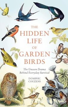 portada The Hidden Life of Garden Birds: The Unseen Drama Behind Everyday Survival