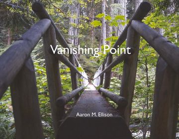 portada Vanishing Point: Volume 1 (en Inglés)