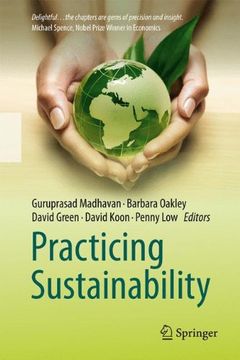 portada practicing sustainability