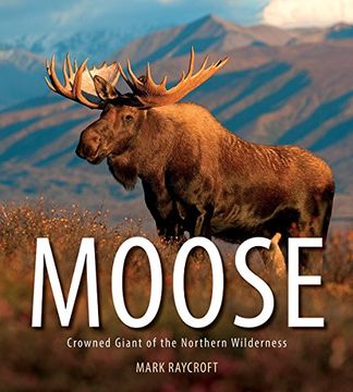portada Moose