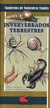portada Invertebrados Terrestres (in Spanish)
