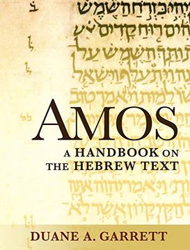 portada Amos: A Handbook on the Hebrew Text (Baylor Handbook on the Hebrew Bible) (en Inglés)