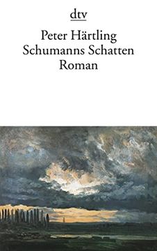 portada Schumanns Schatten: Variationen Über Mehrere Personen Roman (in German)