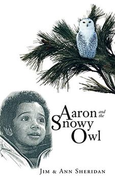 portada Aaron and the Snowy owl (en Inglés)