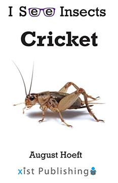 portada Cricket (i see Insects) (en Inglés)