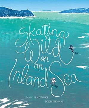 portada Skating Wild on an Inland sea (en Inglés)