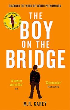 portada The boy on the Bridge (in Spanish)