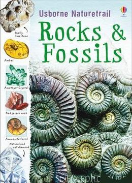 portada rocks & fossils (en Inglés)